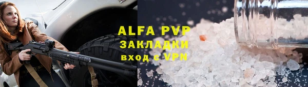 шишки Арсеньев
